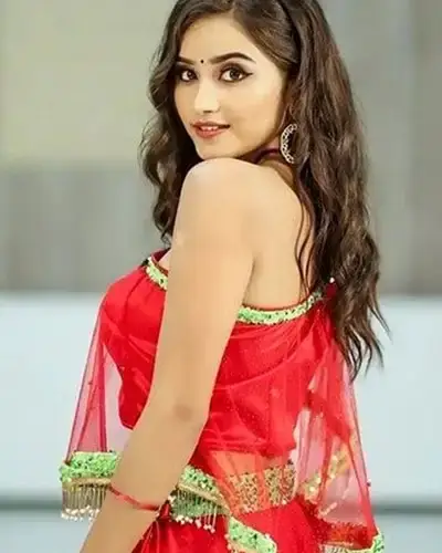 Call Girls Service Srivaikuntam